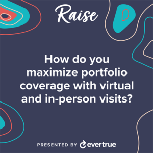 how do you maximize portfolio coverage with virtual and in person visits